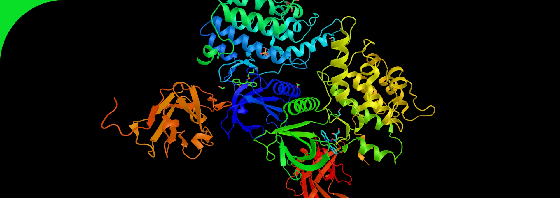 Immobilized Enzyme Carriers